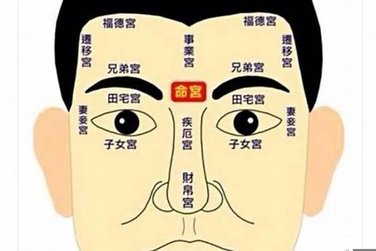 面相中哪里代表财运？什么人没有财运