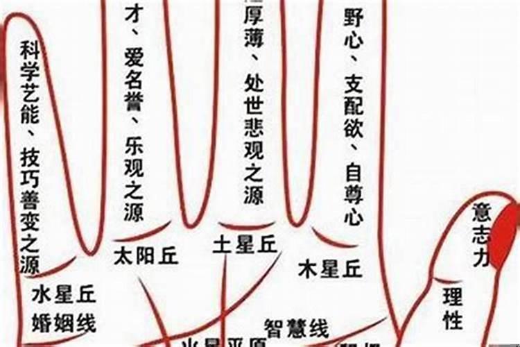 从八字上看这十种有富贵命（富贵的八字命理）
