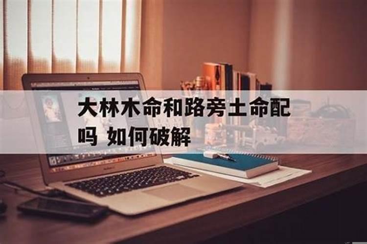 路旁土命和大林木命合不合（婚煞破解后可以复合吗）