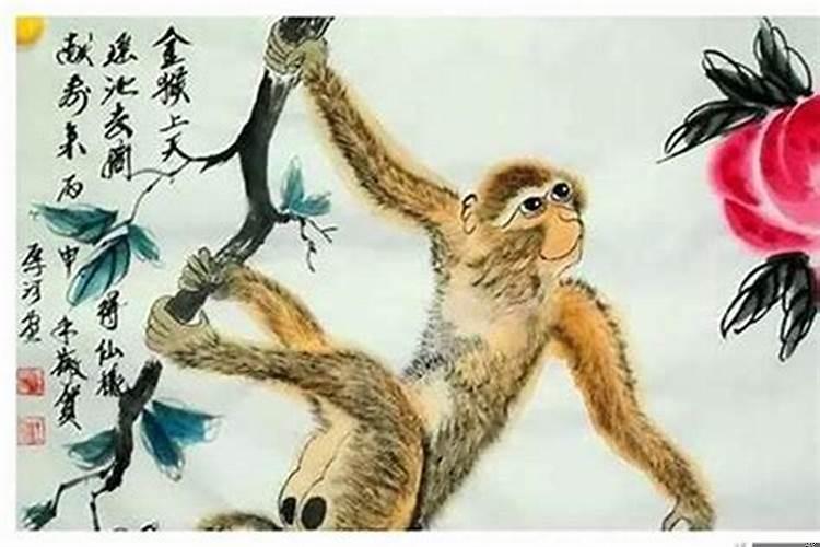 做属猴的情人好不好？属猴对待感情怎么样