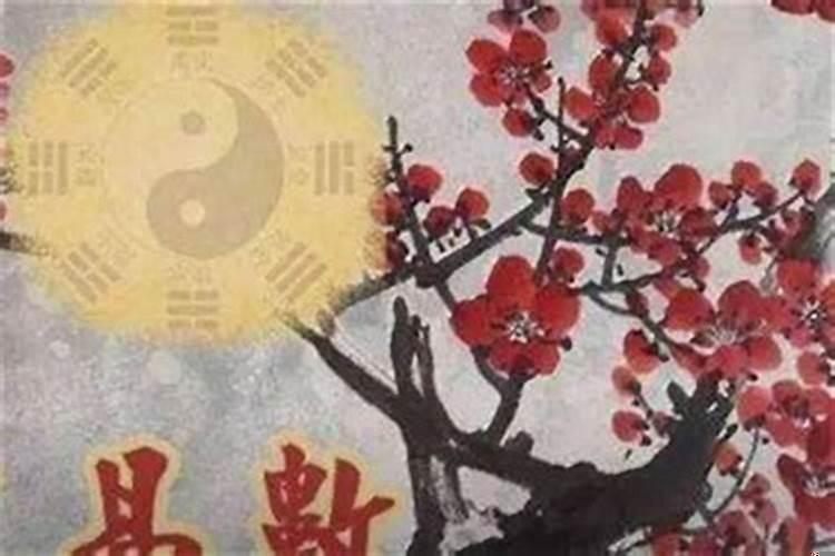 梅花易数测感情最基本（梅花易数怎么测桃花）