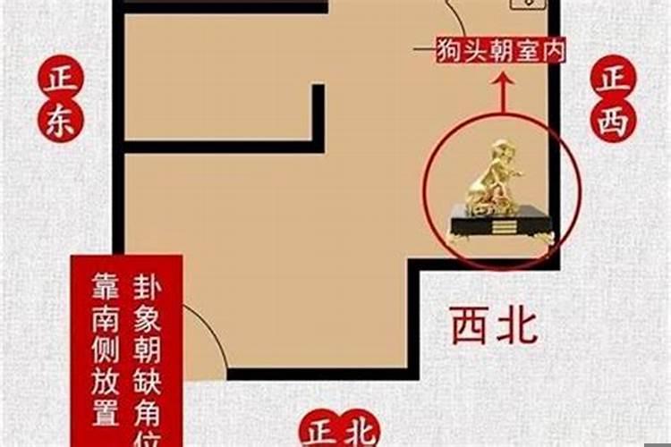 家里采光好了会不会风水好些