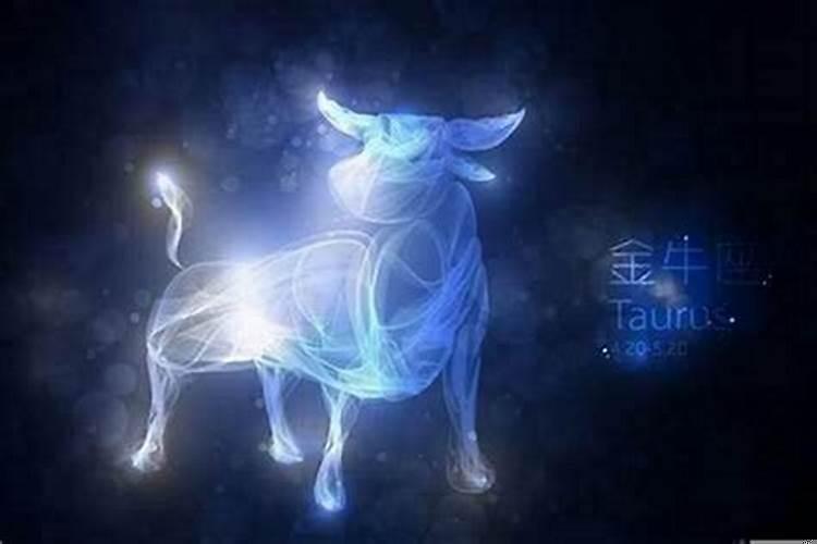金牛女其实很聪明 金牛座的事业贵人