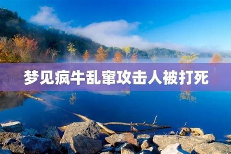 梦见两头牛发疯的乱跑（梦见牛跑了啥意思）