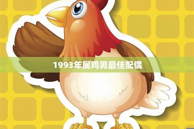 男属鸡和属猪女相配吗婚姻？女属蛇男属狗合婚吗