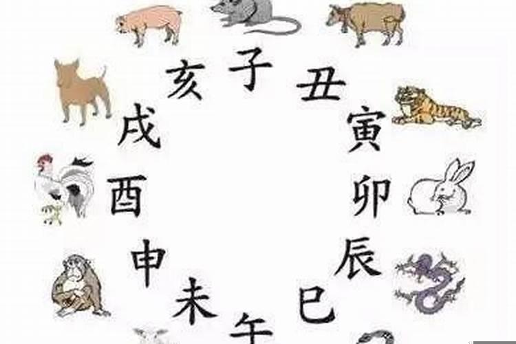 属相是按哪天划分？是哪个生肖年在哪里可以看
