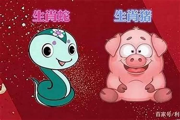 十二生肖蛇和猪相配吗？八字说不会复合的人复合了