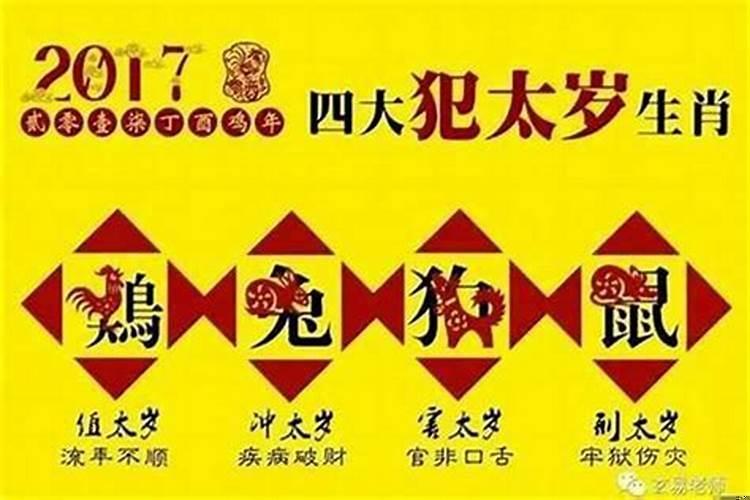 什么生肖的孩子最孝顺？属猪的应该生什么属相的孩子