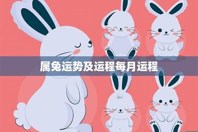 属兔男2025年每月运势及运程（2025年属兔狮子破财吗）