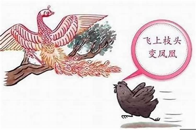 属鸡几时出生大富大贵？属鸡十月出生的命运好不好
