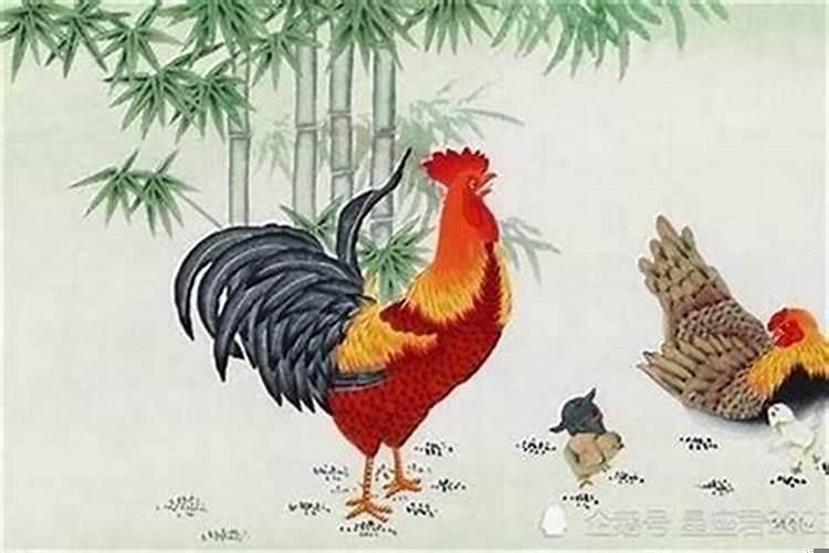 属鸡几时出生大富大贵？属鸡十月出生的命运好不好