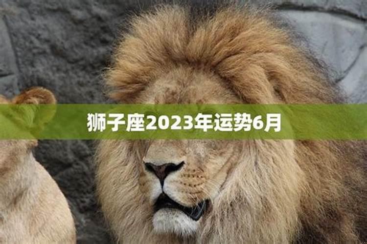 2025年狮子座桃花运势(2025年狮子女财运方位)