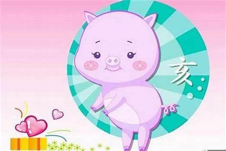 什么生肖的孩子最孝顺？属猪的应该生什么属相的孩子