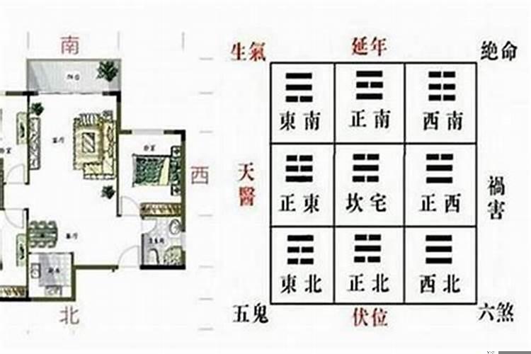 房屋左青龙右白虎怎么看