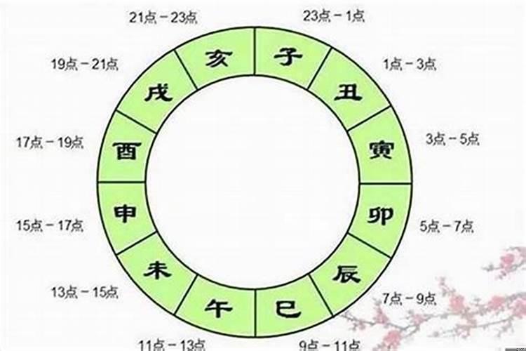 女命八字看配偶长相(日支为戌的配偶)