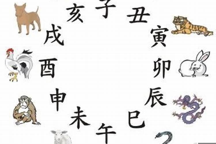 2025年十二生肖运程（明年属龙的运势如何）