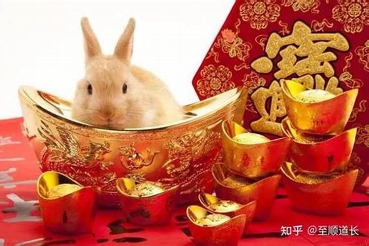 属兔男2025年每月运势及运程（2025年属兔狮子破财吗）