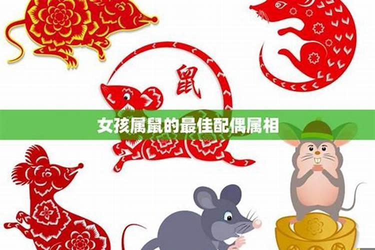 属鼠最佳配偶属相是什么？属鼠女的婚姻和什么配最好？