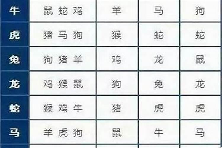 属鼠的和什么属相最配？属猪的和哪个属相最相配