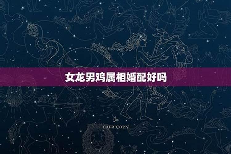 男龙女鸡结婚好吗？男鸡女龙婚配是否合适