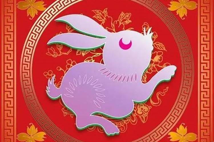属兔男2025年每月运势及运程（2025年属兔狮子破财吗）
