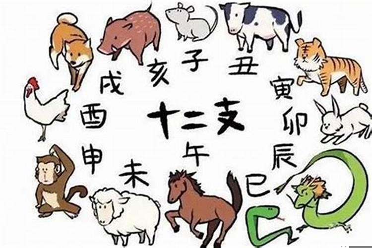 做生意特别厉害的生肖