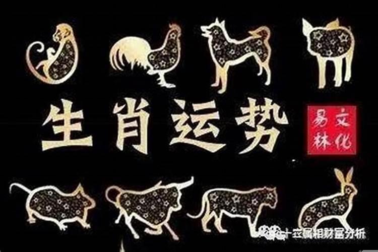运到获大财打一生肖(84年属鼠2025年运势 最新)