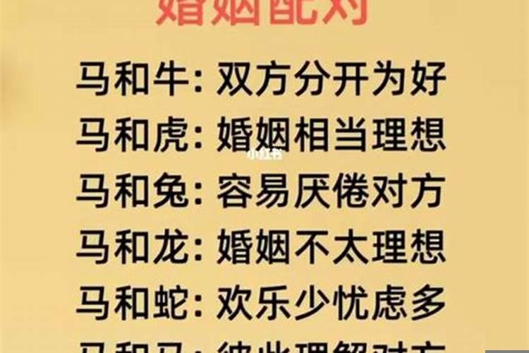 属马的人有多少情人呢？属马的命中情人