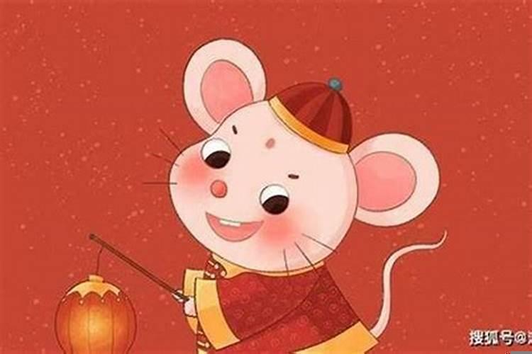 生肖鼠的命运和财富经典，十二生肖鼠的运气怎么样