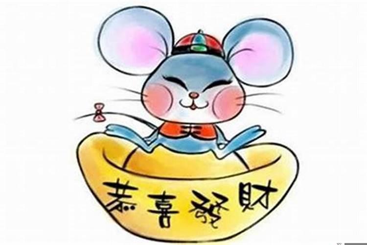 生肖鼠的命运和财富经典，十二生肖鼠的运气怎么样