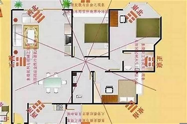 家里进财的风水讲究 家里怎么摆风水招财