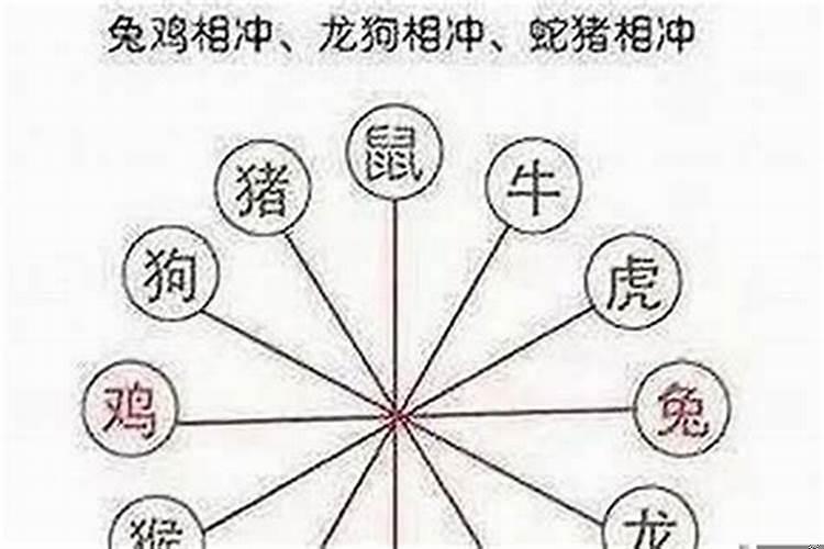 12生肖跟哪些生肖相冲？2025年与什么属相相冲