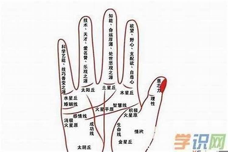 不适合早婚的人早婚了会怎样？感情线上面有横线