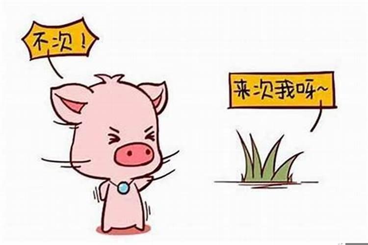 男生肖猪与女生肖鼠相配吗？生肖猪男和生肖鼠女婚配怎么样