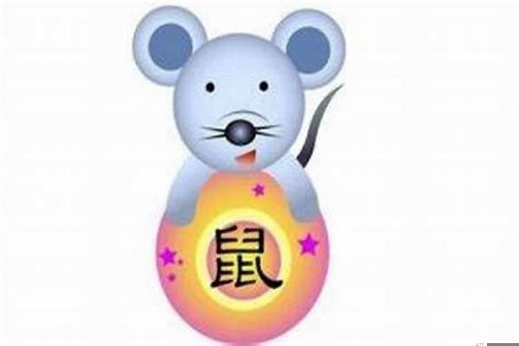 生肖鼠的命运和财富经典，十二生肖鼠的运气怎么样