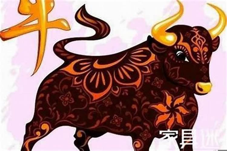 属牛年2025运势如何？请问属牛的今年运气好不好呢