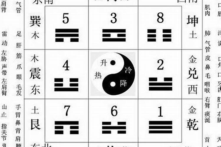 天乙贵人和天月德贵人