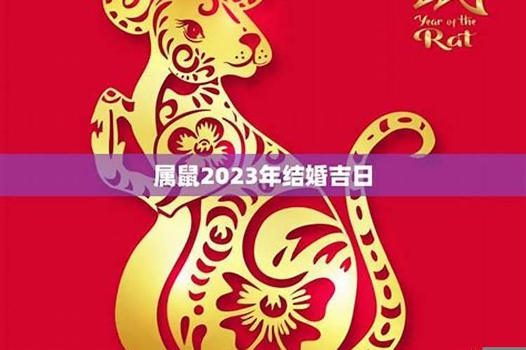 属狗男和属鼠女几月结婚好？怎样挑黄道吉日