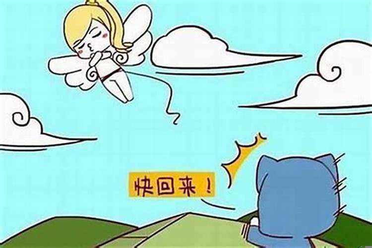 男属狗和女属龙相配吗？属龙女配属狗男好吗