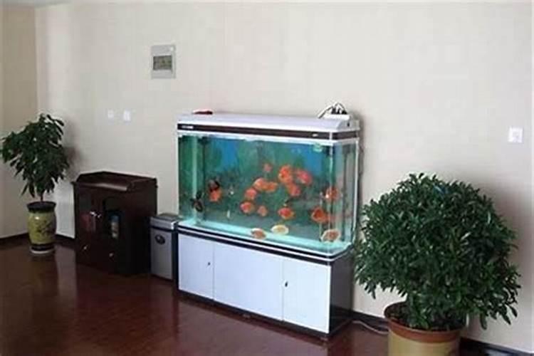 鱼缸摆在什么位置旺财