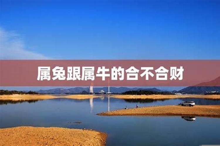 牛和兔合不合属牛和属兔在一起好吗