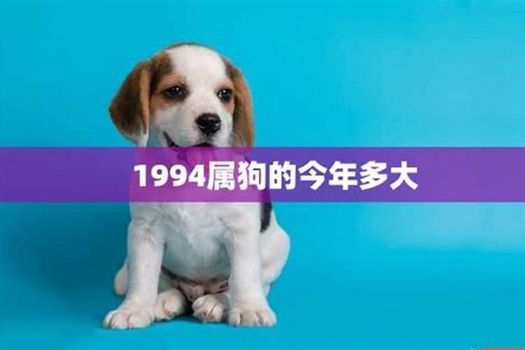 1994属狗的今年多大了？2025年属狗的虚岁多大