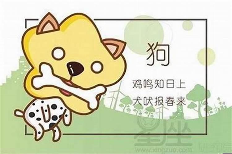 属狗94年的婚姻与命运，1994年属狗的婚缘怎样呢