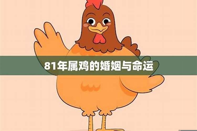 69年属鸡后半生婚姻女性（属鸡人的婚姻最终归宿）