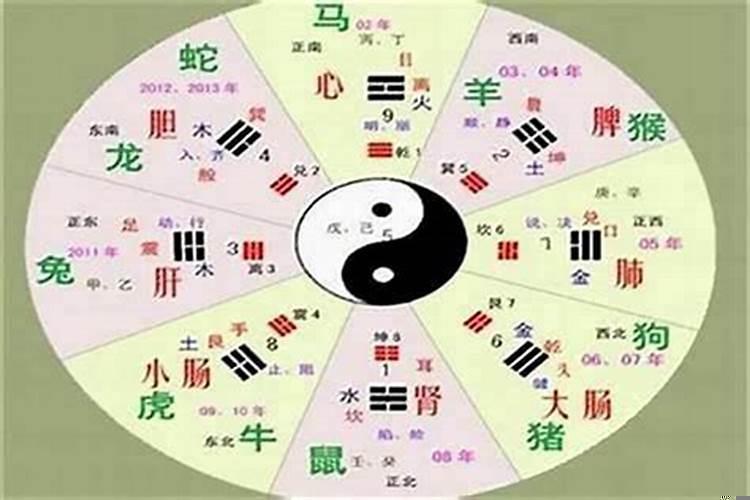 2012年是什么命五行属？辛巳的五行纳音是什么