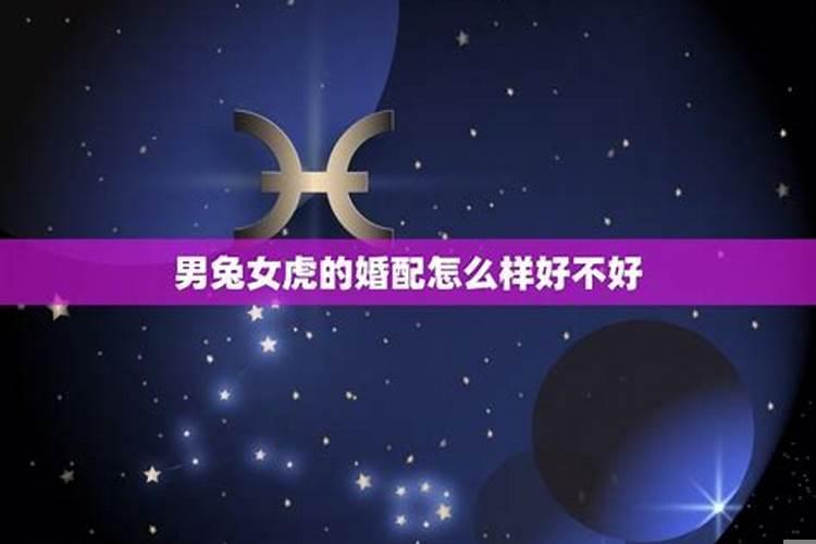 女虎与男兔的婚配如何？女兔男虎婚配是否合适