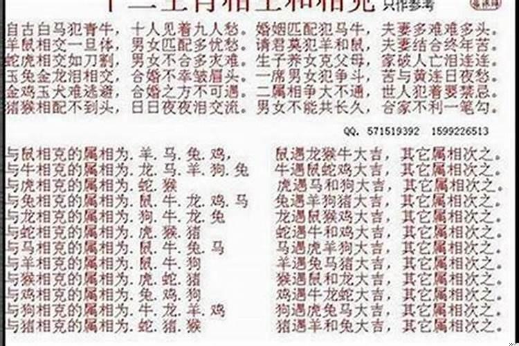 男属龙女属狗相配吗婚姻？龙男与女狗婚配怎么样
