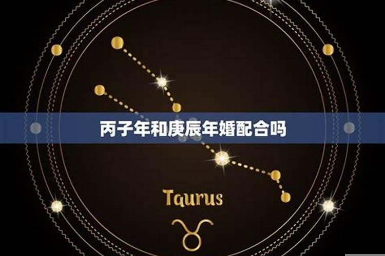 丙子日男与庚辰日女配吗