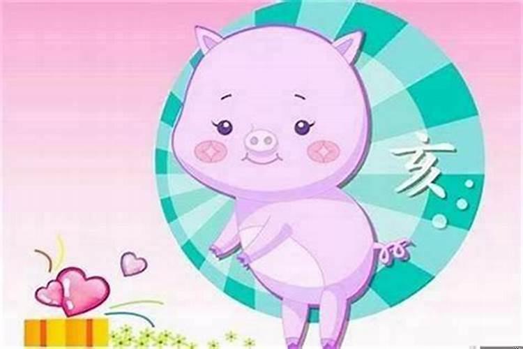 属猪的适合要属什么的孩子？属猪属猴的生什么属相的孩子好命