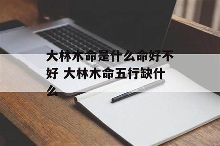 大林木命2025年运势（木命的人怎么提升财运）